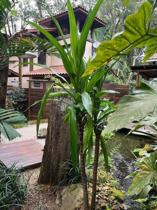 Açaí - Jungle House Sea