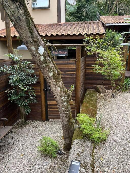 Açaí - Jungle House Sea