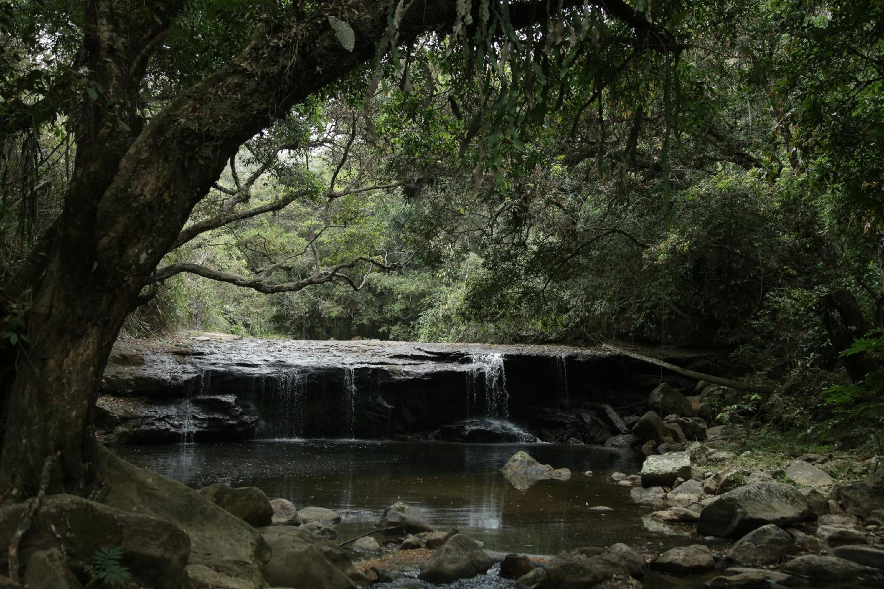 Alojamiento rural Ecoparque La Motilona Paicol, Huila - Cabaña la Motilona