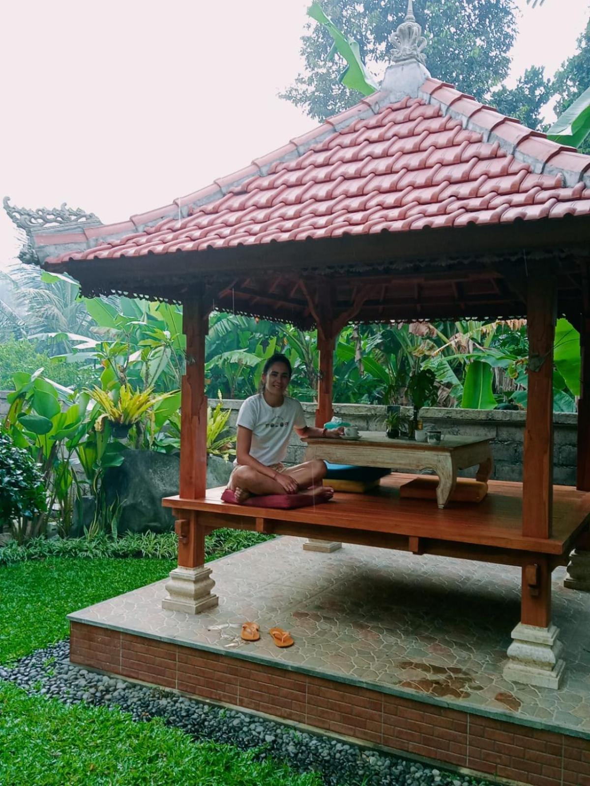 D'SARI UNDISAN Houses view 5