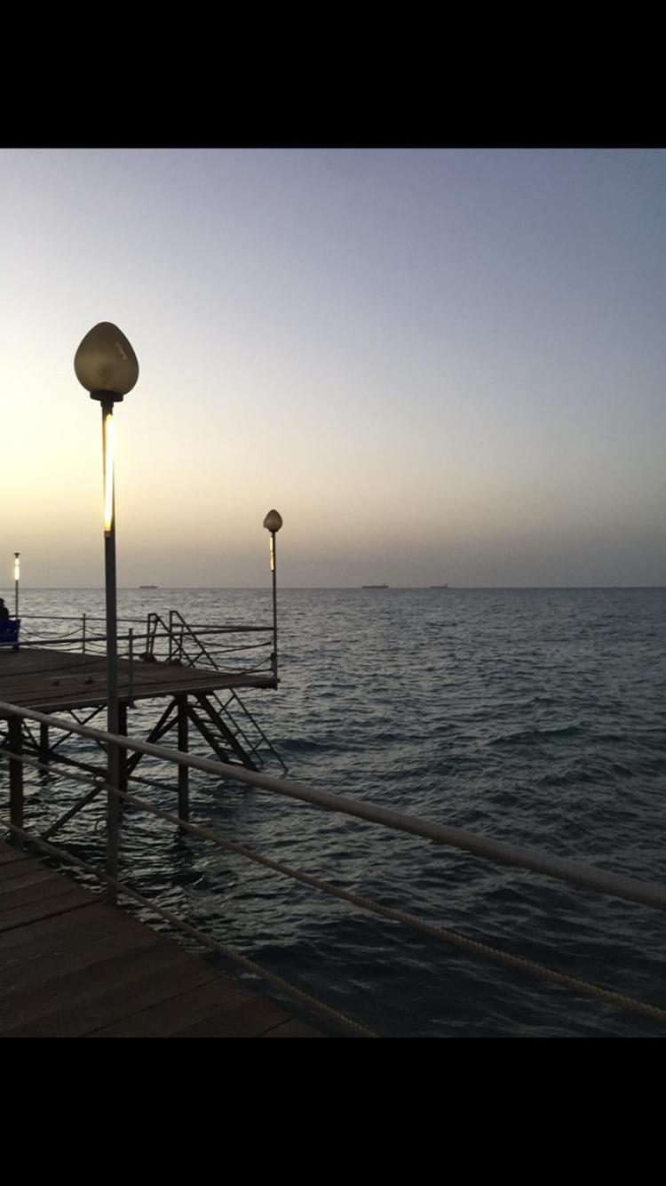 Dolphin resort
