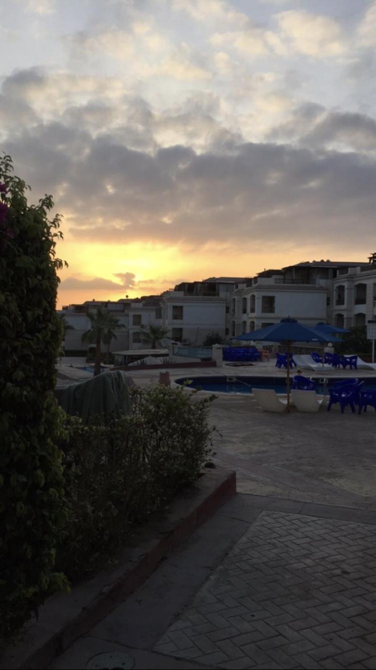 Dolphin resort