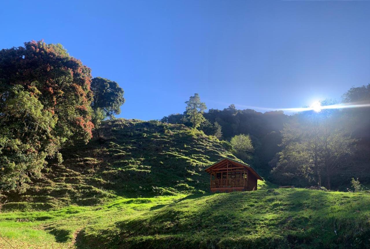 Entre Árboles Lodge