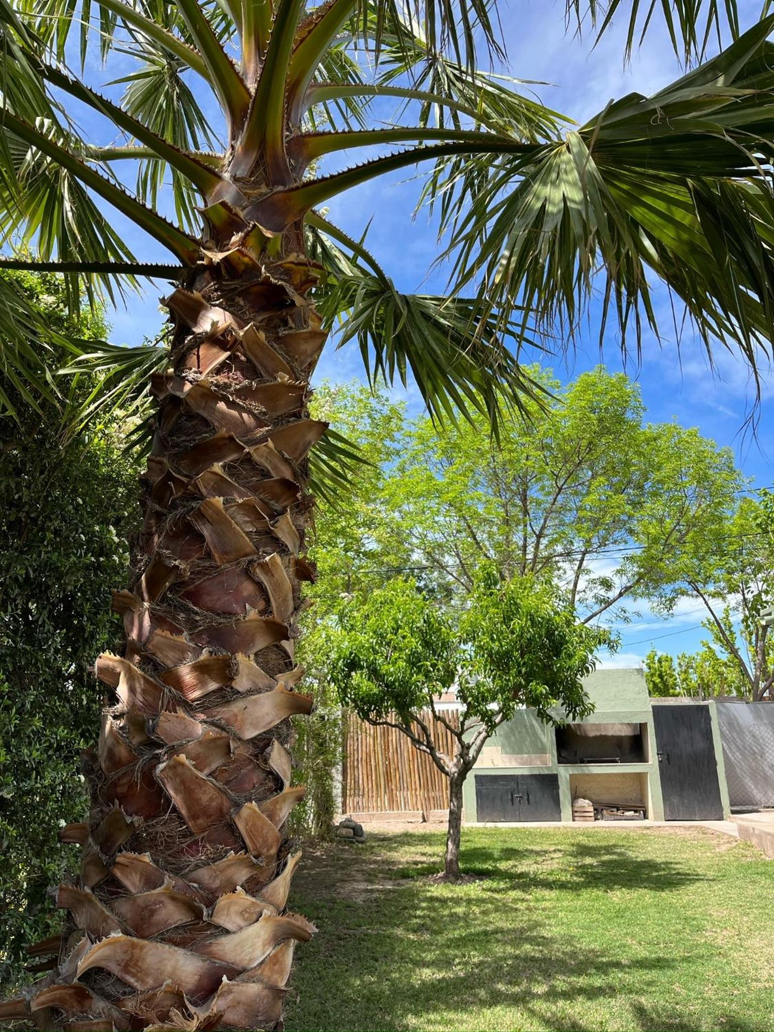 El Carmelo Bed & Breakfast