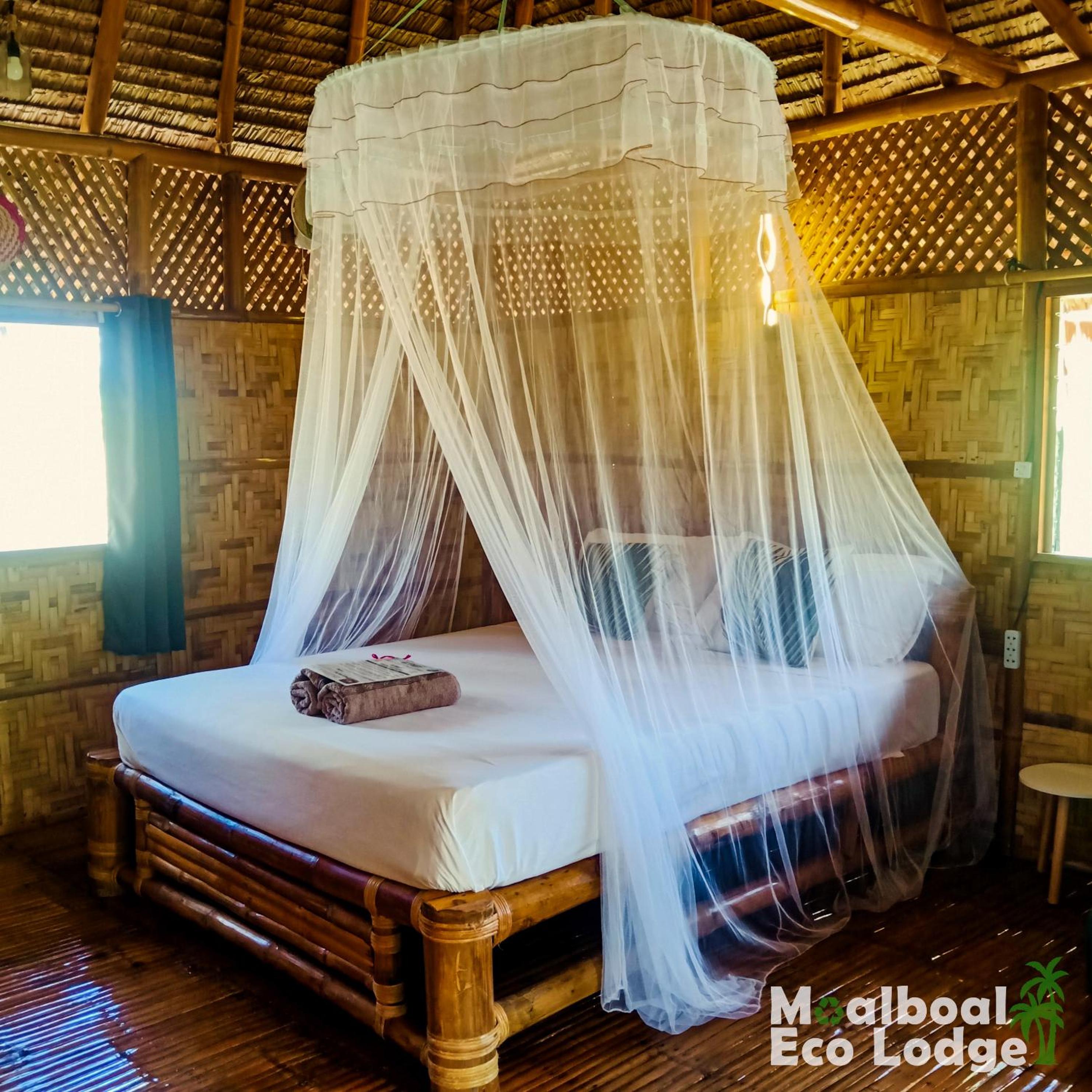 Moalboal Eco Lodge view 2