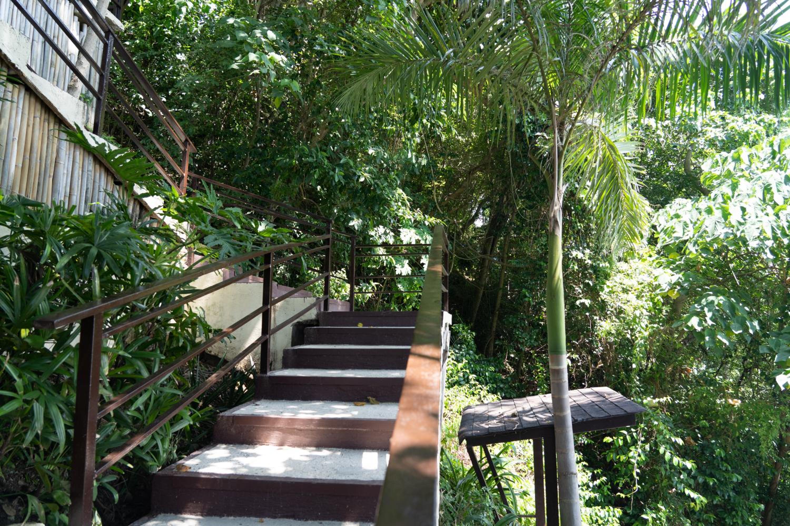 Altamare Dive and Leisure Resort Anilao