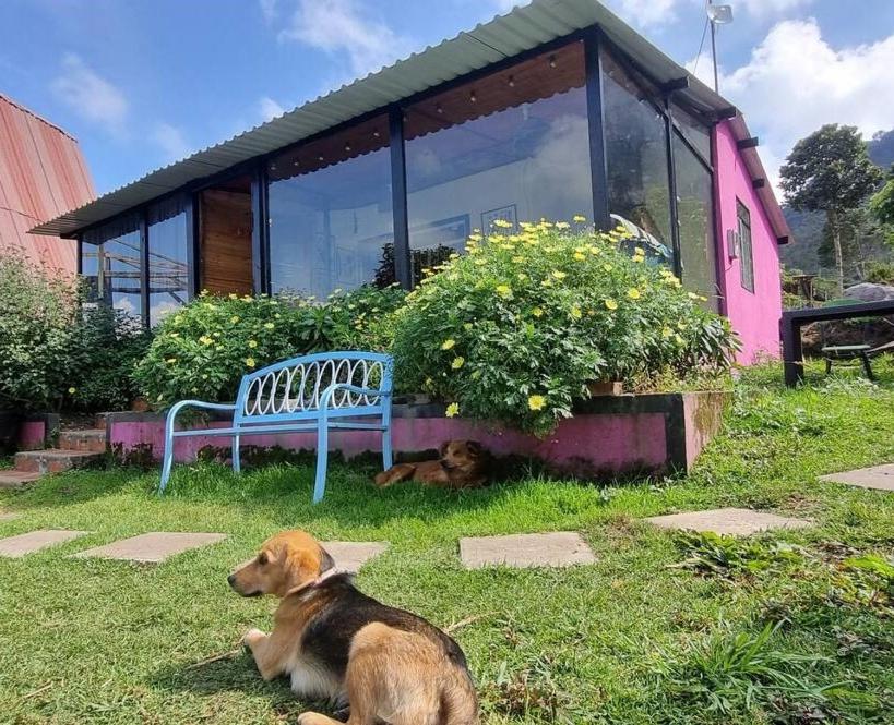 Hostal Waika