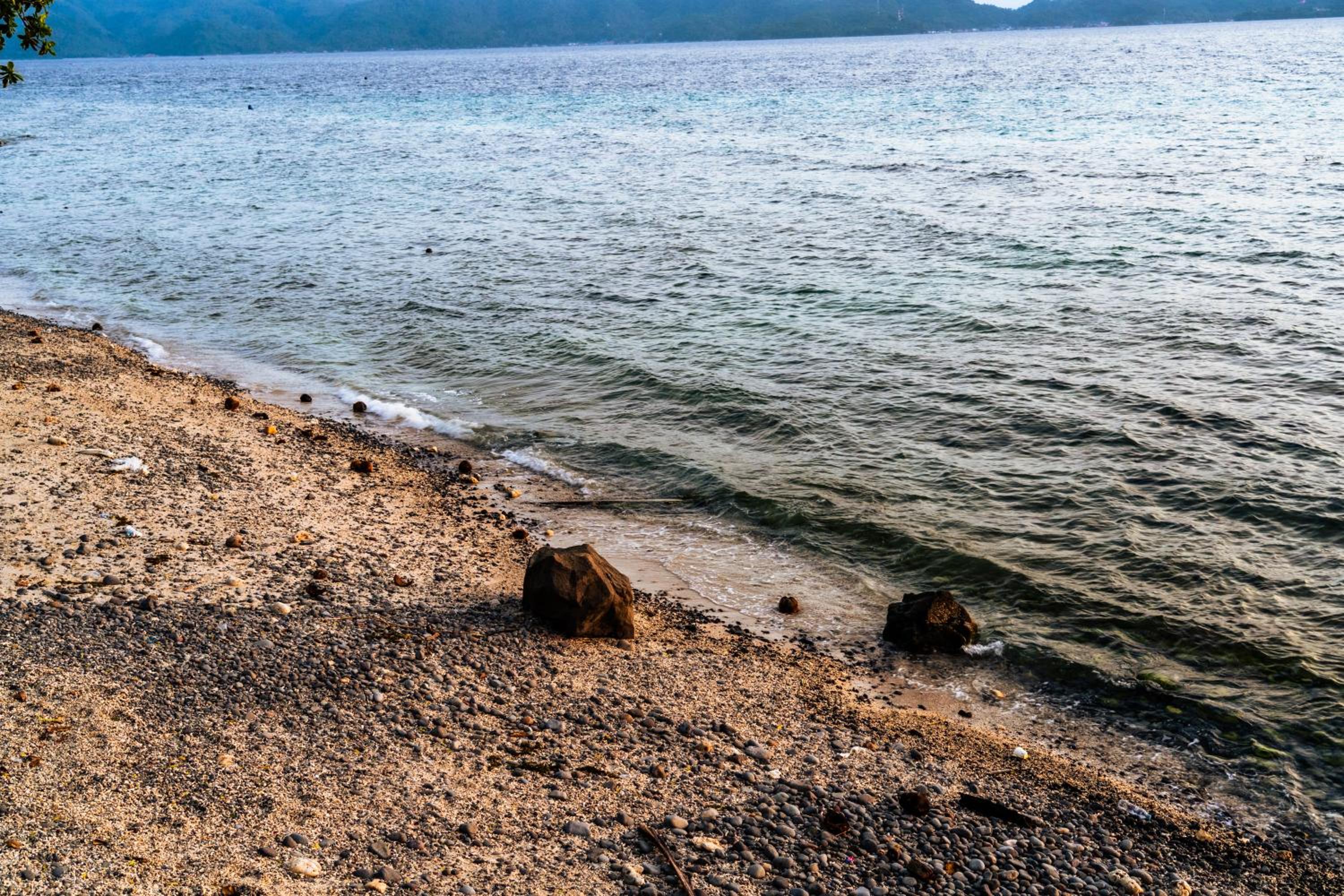 Altamare Dive and Leisure Resort Anilao