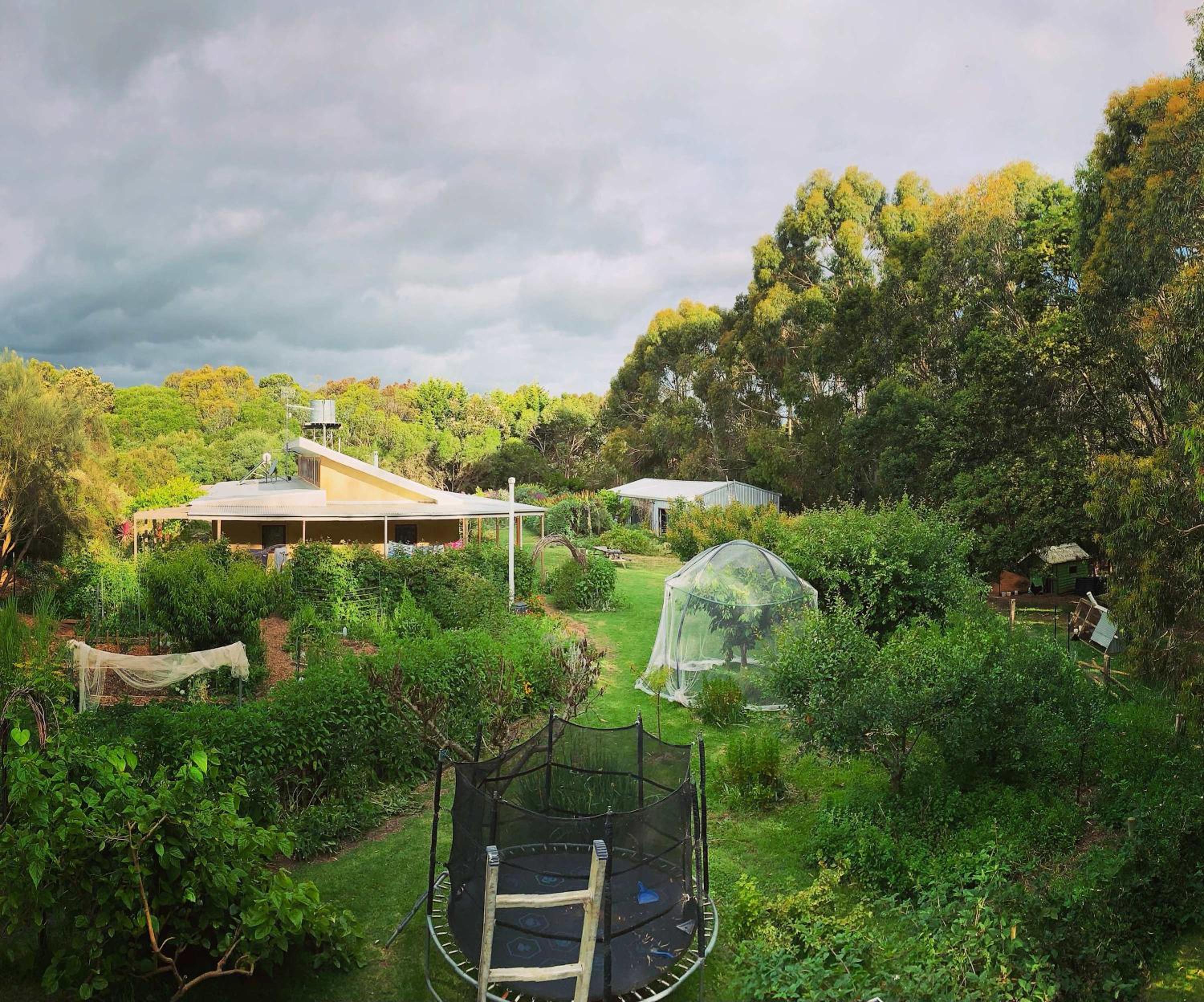 Manna Gum Retreat by Tiny Away
