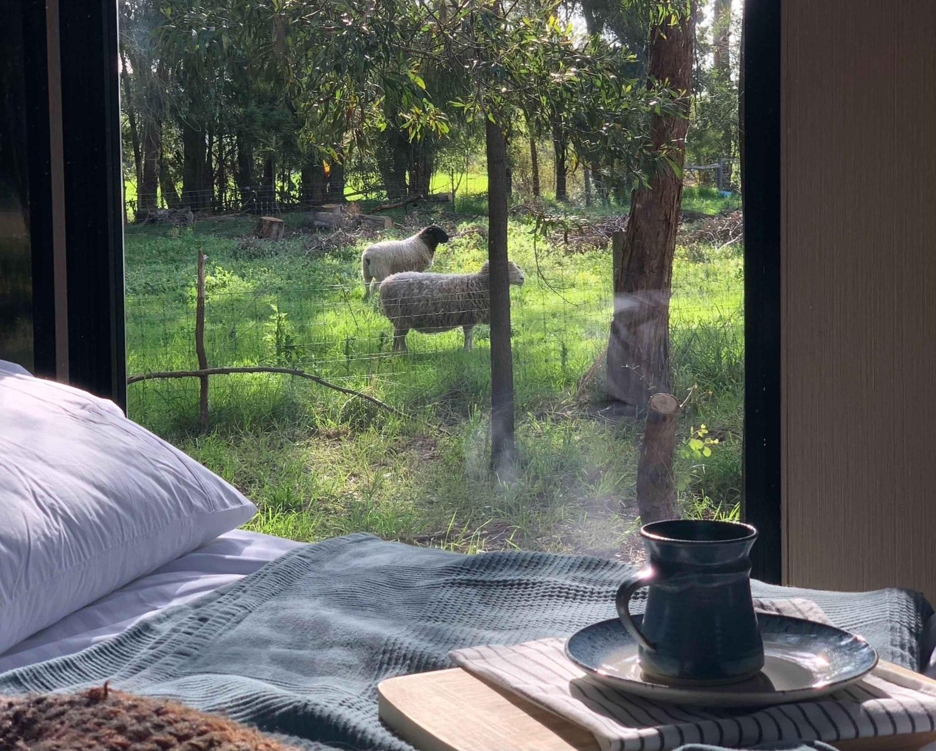 Manna Gum Retreat by Tiny Away