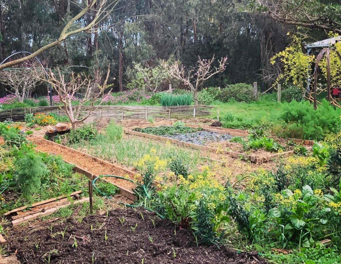 Manna Gum Retreat by Tiny Away