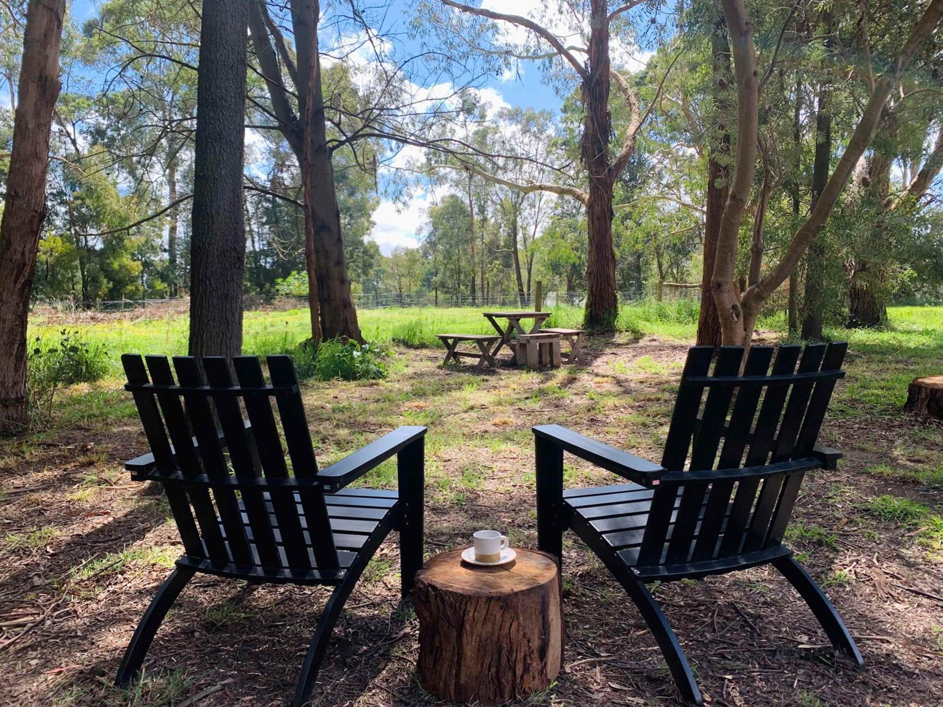 Manna Gum Retreat by Tiny Away