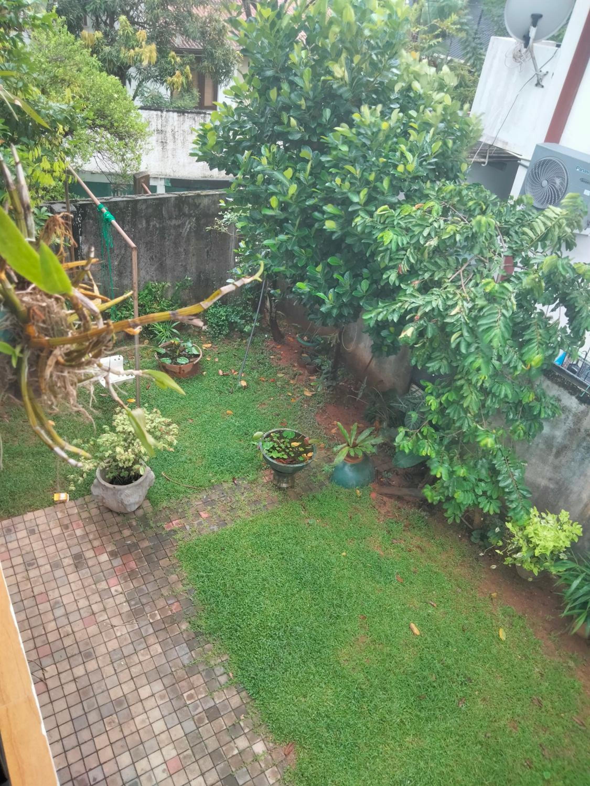 hancy homestay