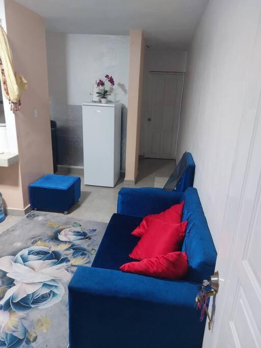 Departamento Enteró 1Hab Ensanche Capotillo