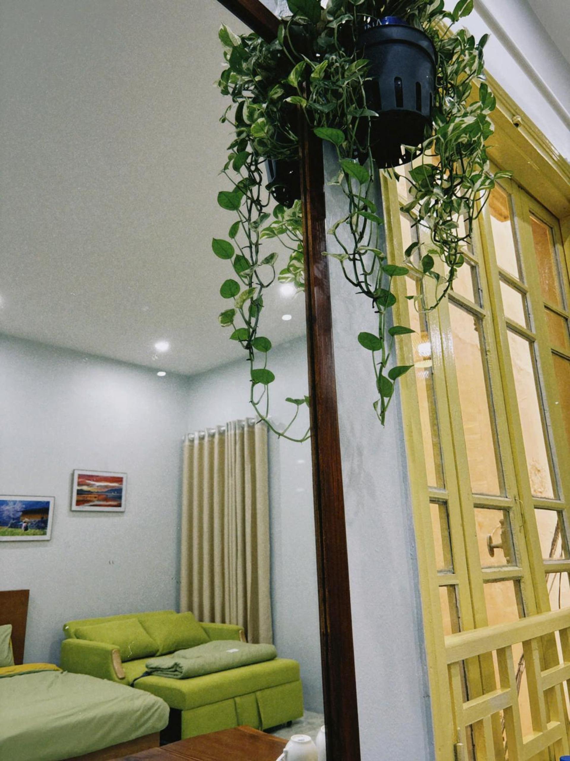 Azalea Apartment
