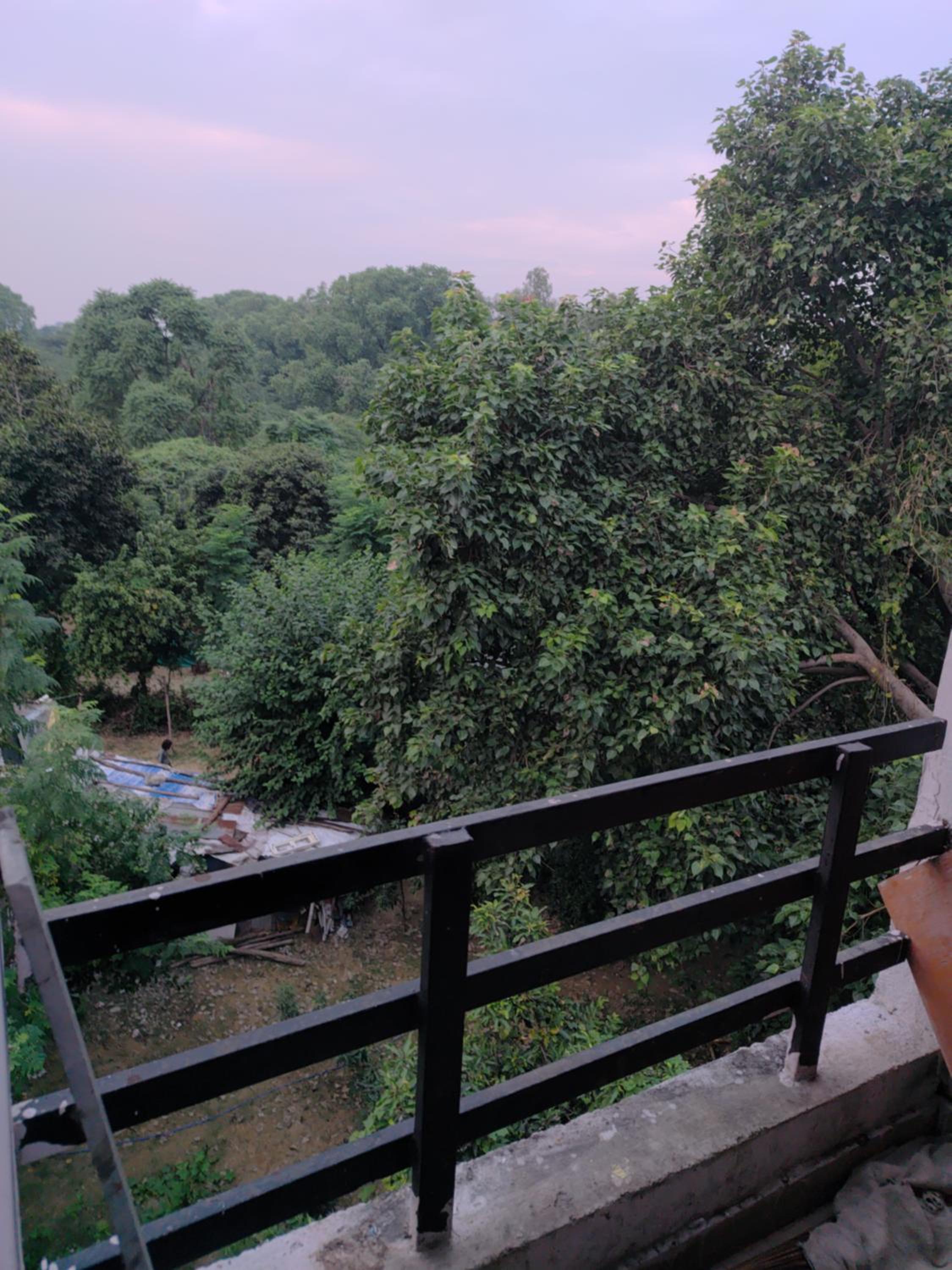 Blissful homestay