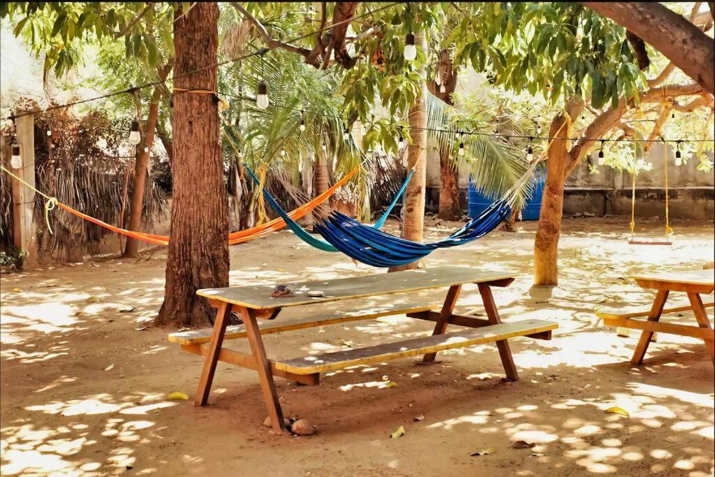Special offer, Walk to Beach, AC and Starlink view 3