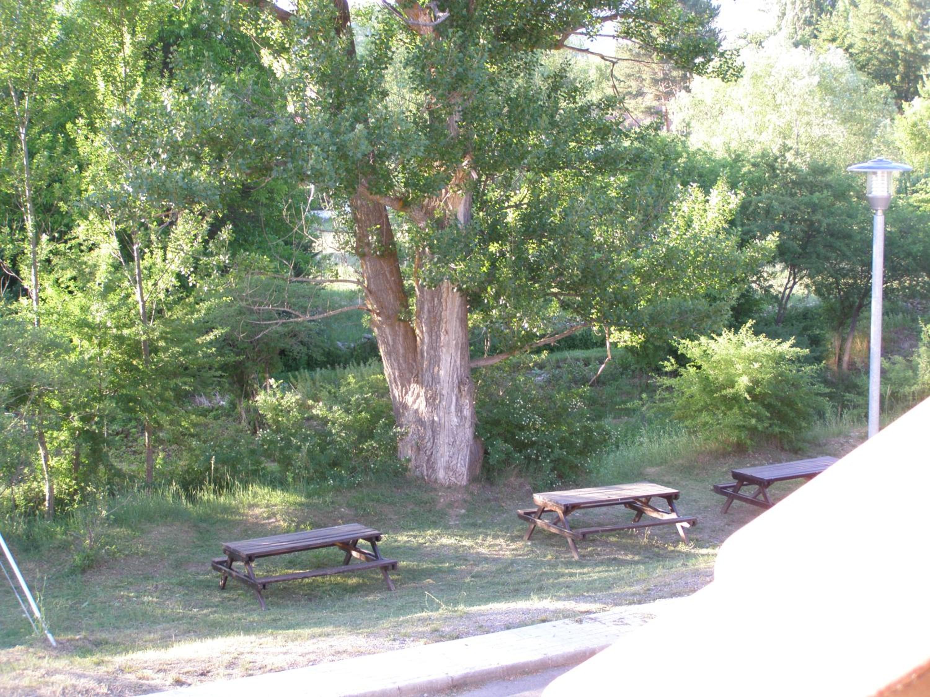 Photo 46