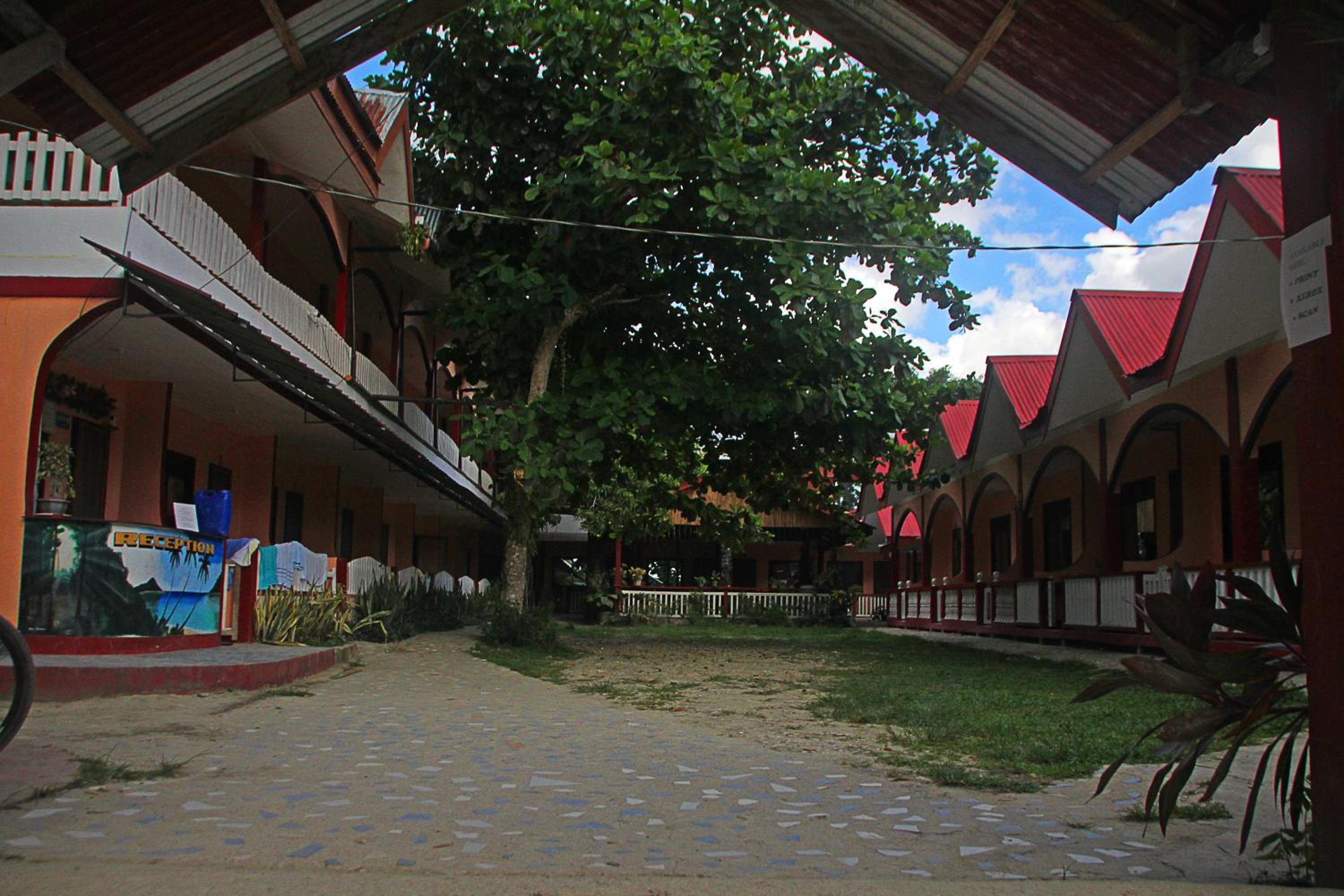 Photo 8