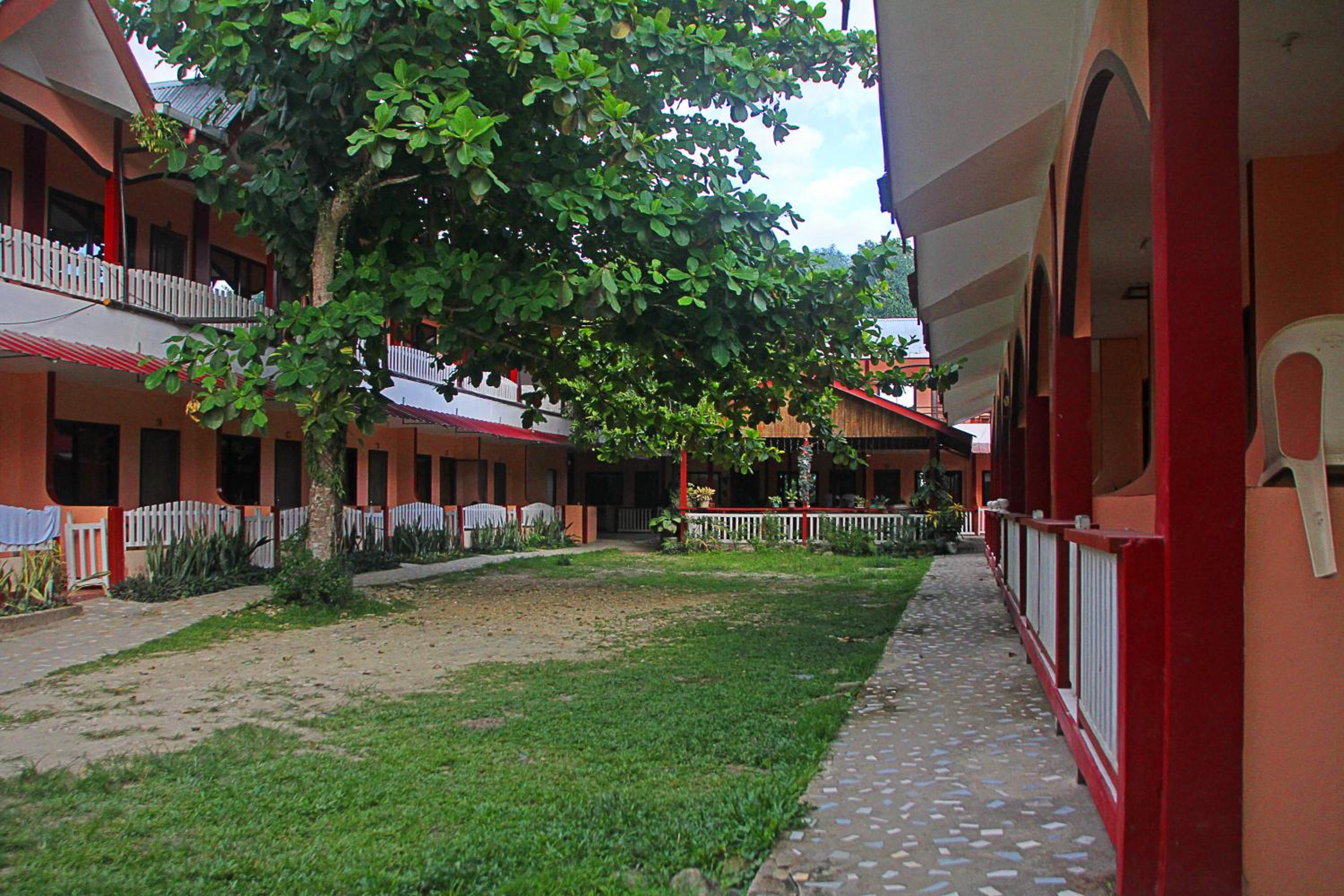 Photo 11