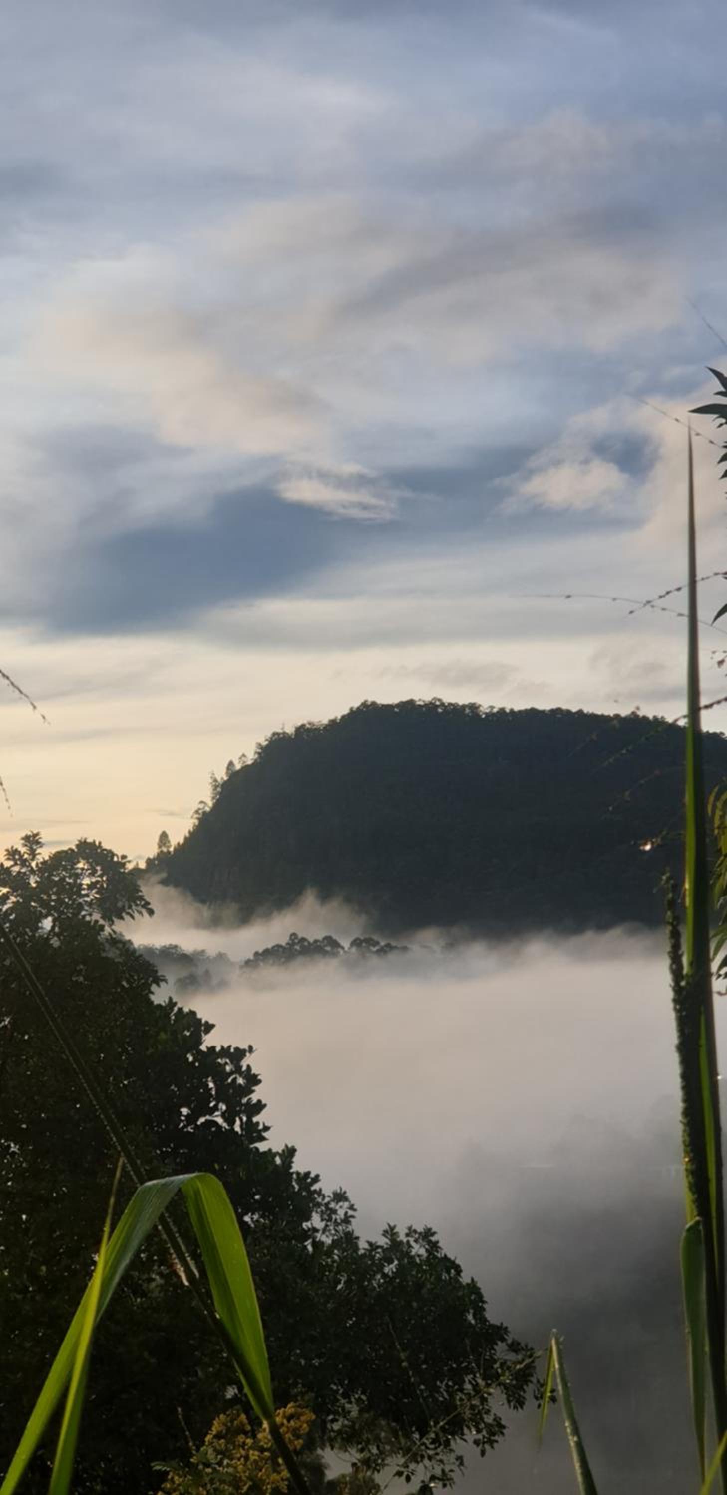 Himansa Homestay