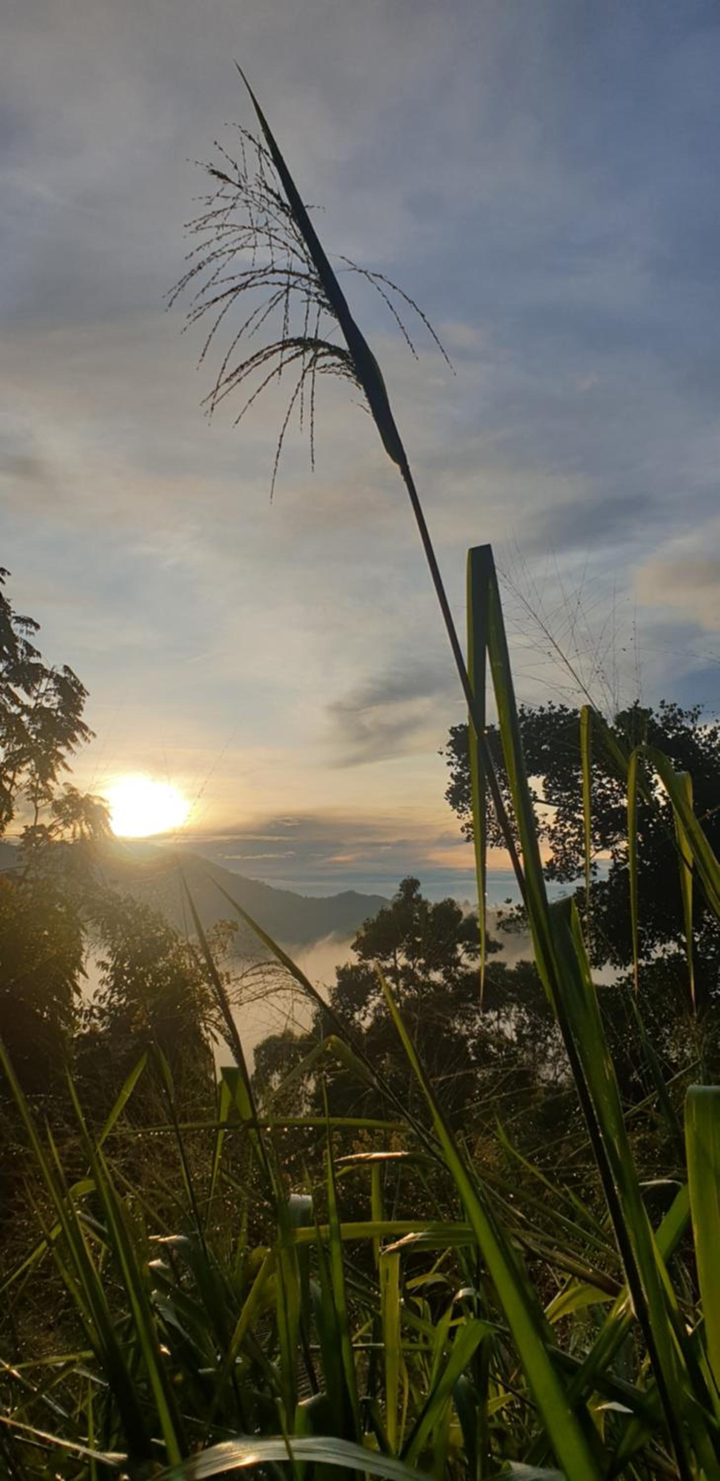 Himansa Homestay