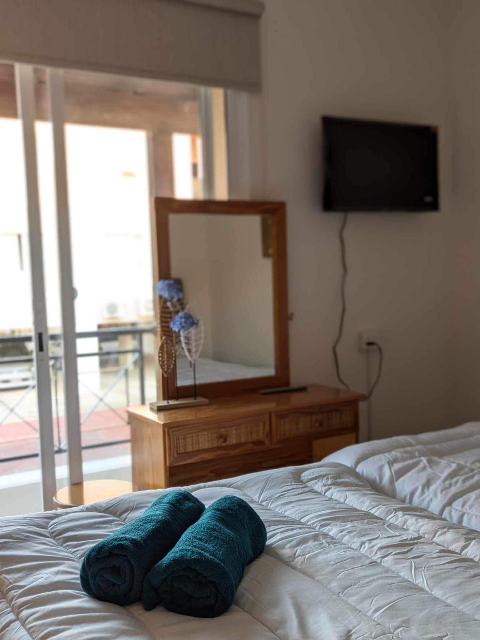 Arting Sea-A Dog friendly house