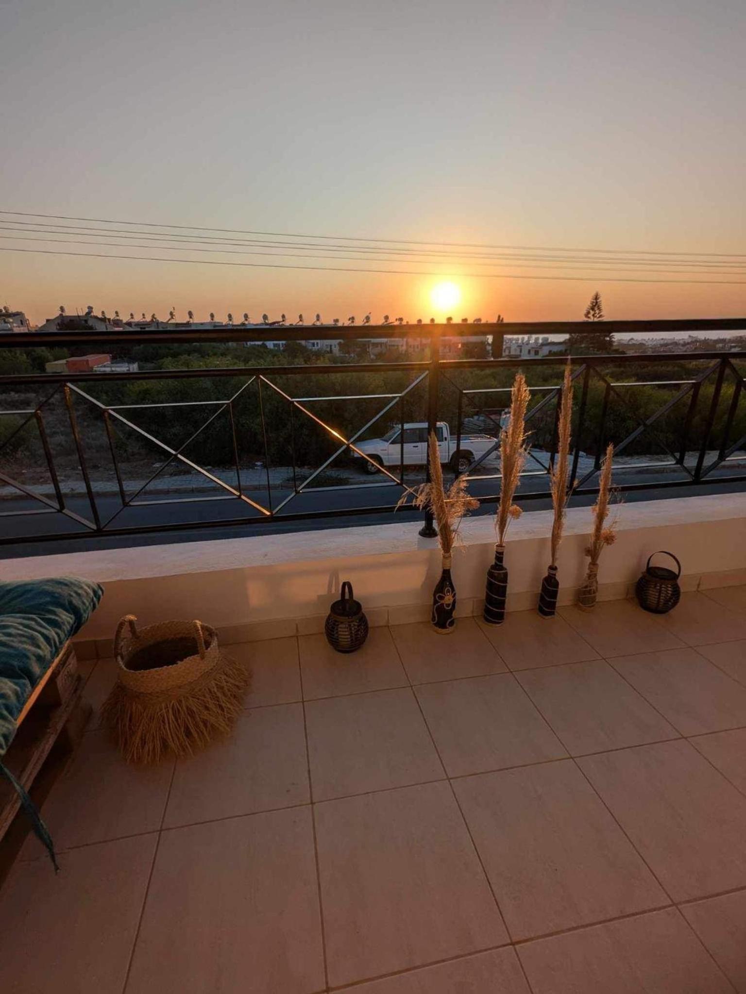 Arting Sea-A Dog friendly house