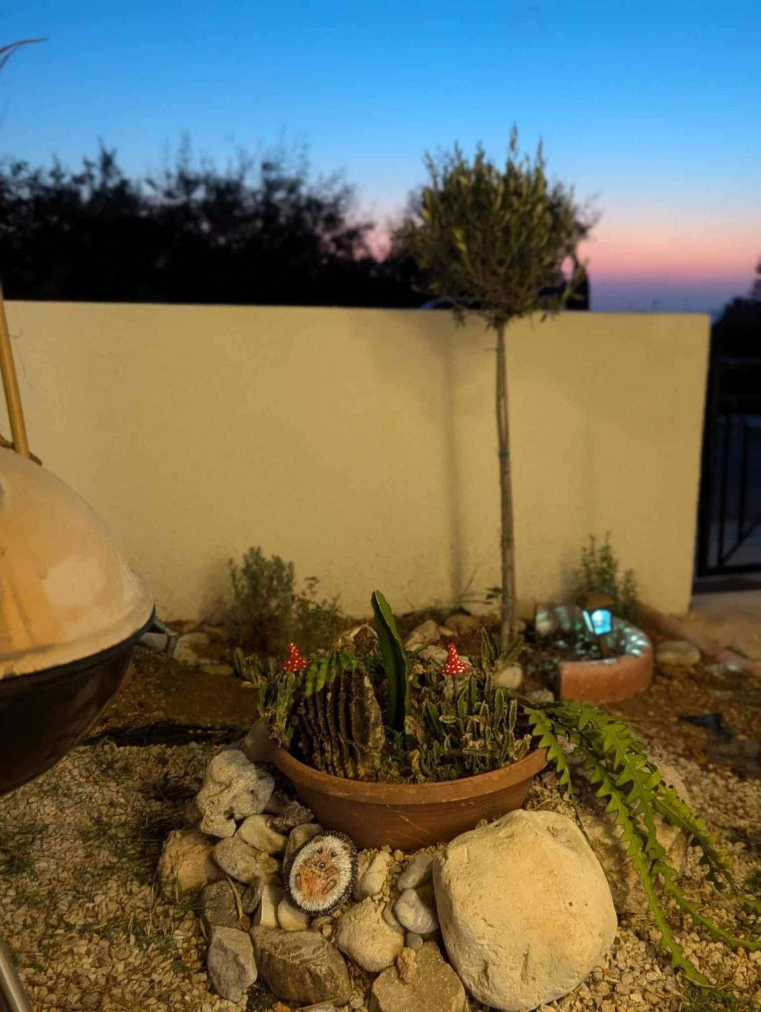 Arting Sea-A Dog friendly house
