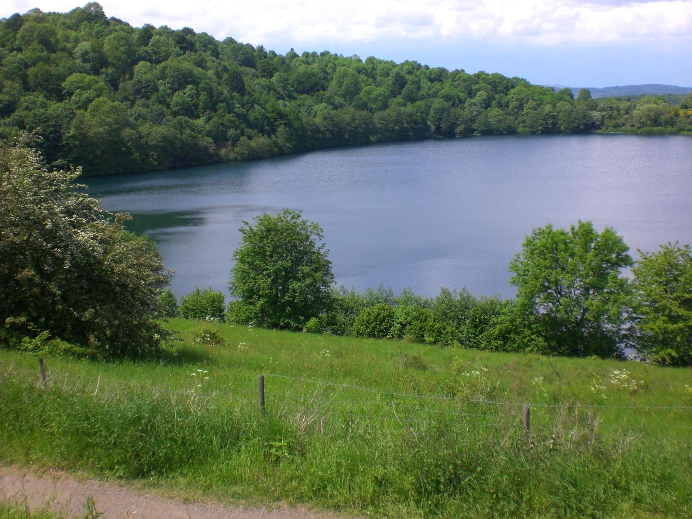 Photo 48