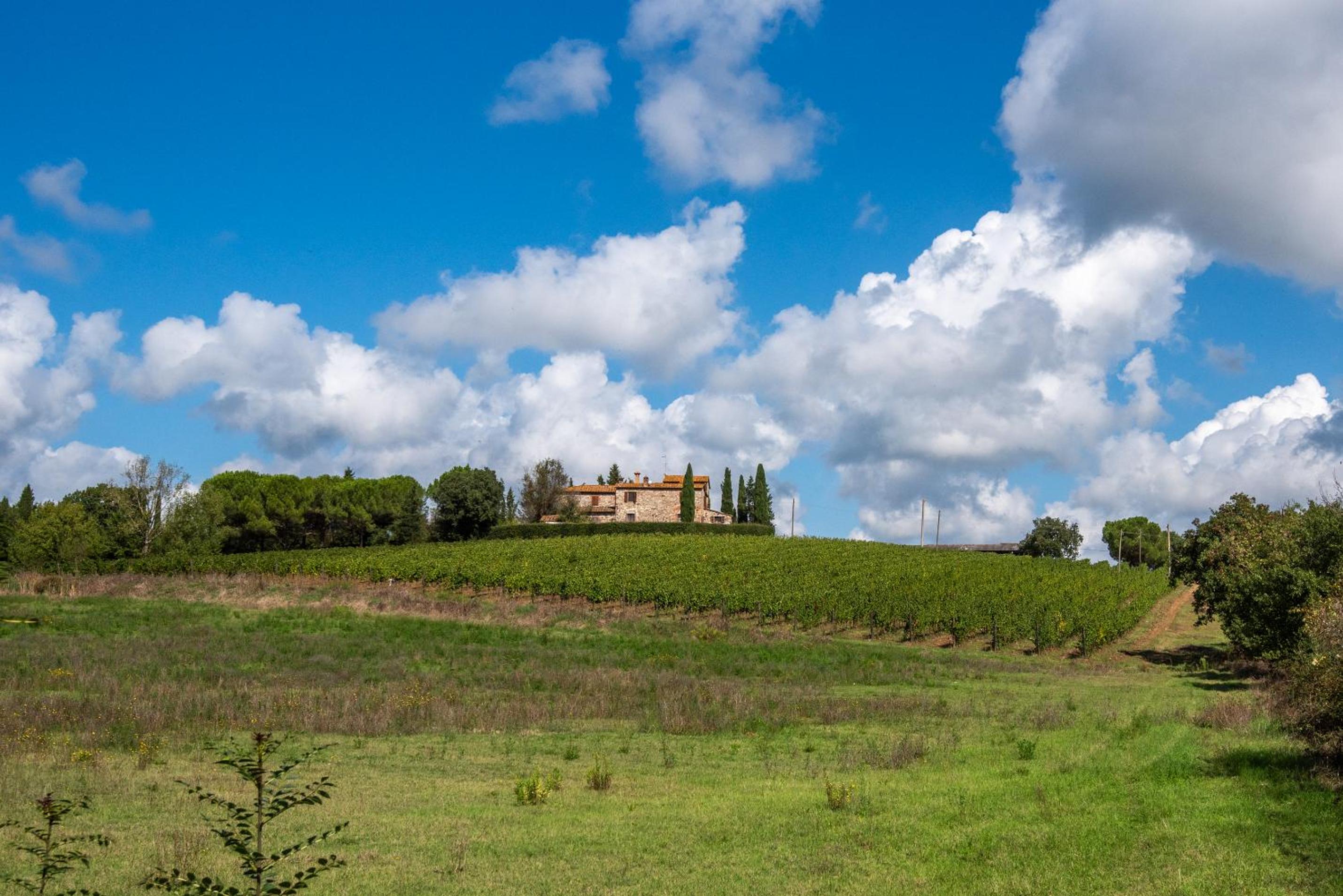 Agriturismo Il Chiassale view 3