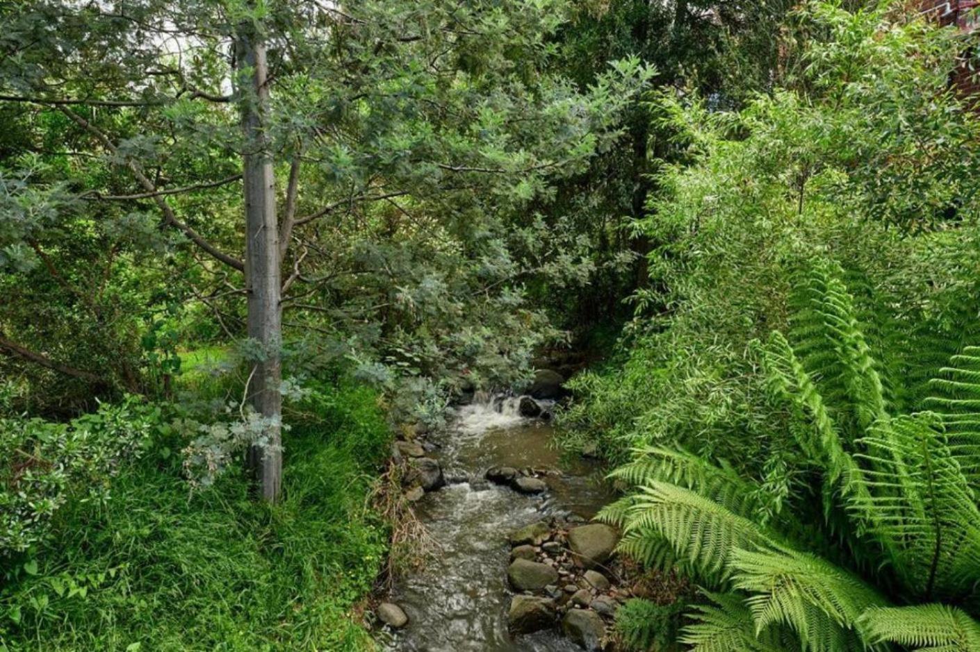 Comfort in Sandy Bay next to the Rivulet