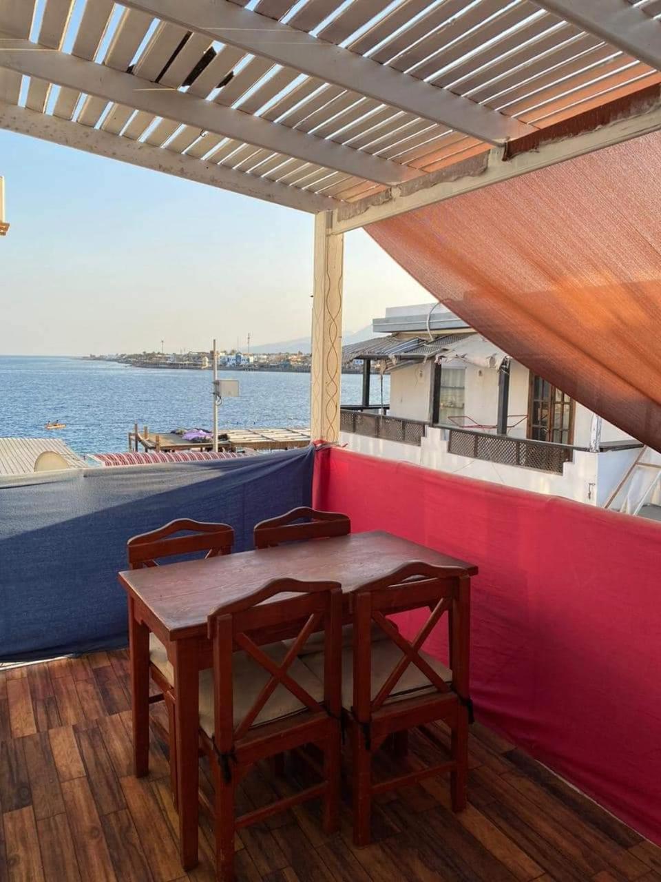 Shrimpoo Dahab