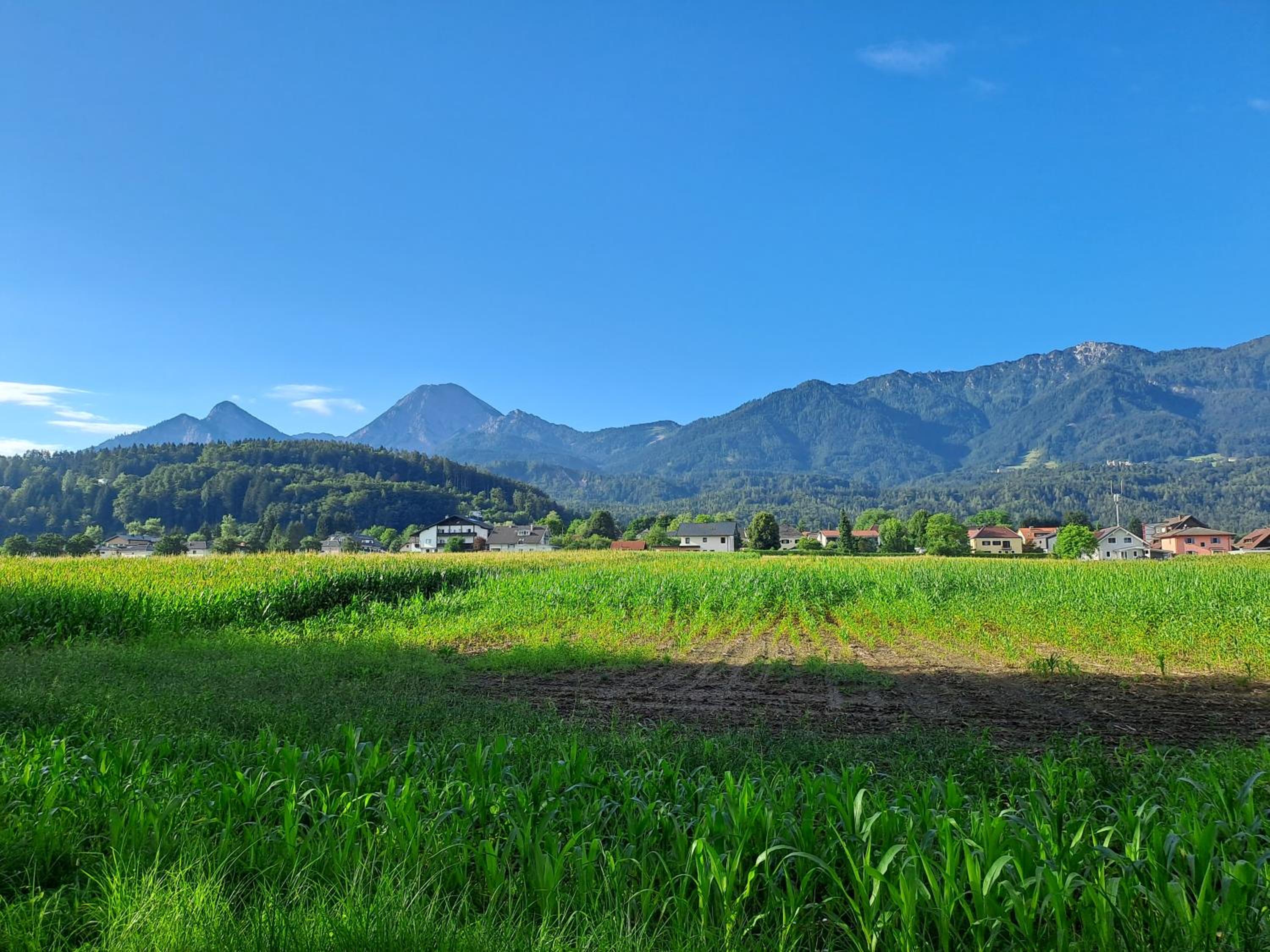 Haus Bergblick