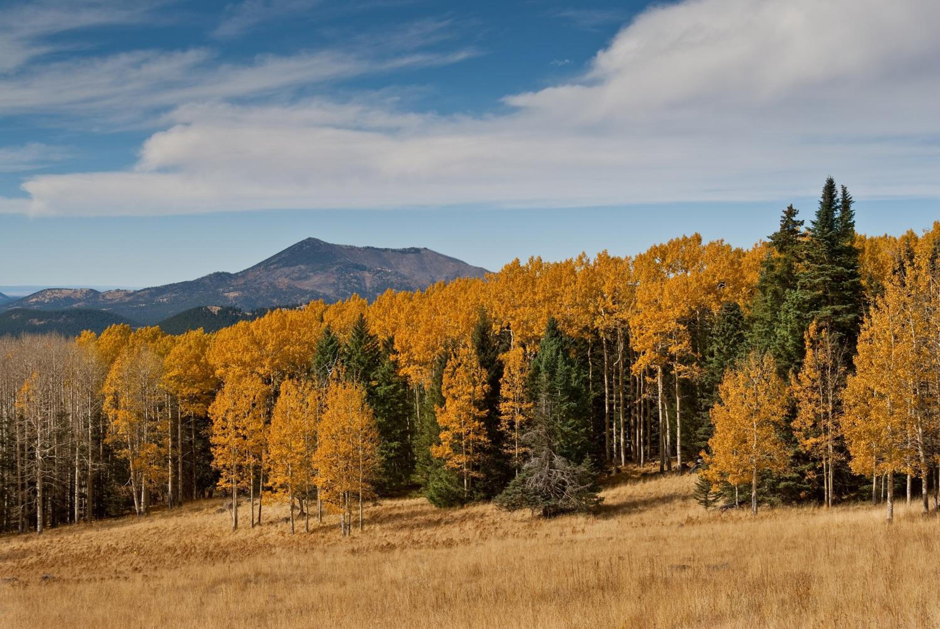 Flagstaff Arizona by HelloVacay