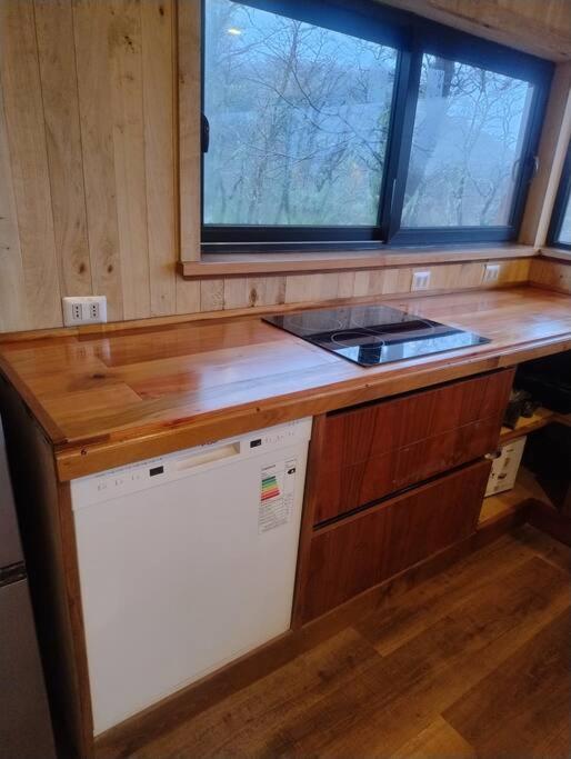 EcoCabin Malalcahuello