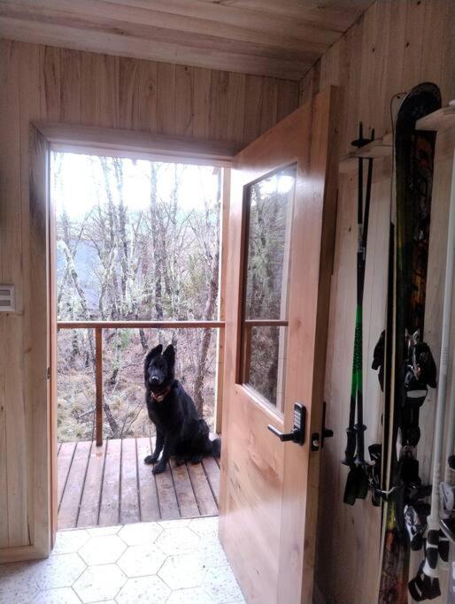 EcoCabin Malalcahuello