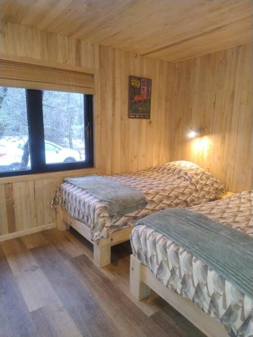EcoCabin Malalcahuello