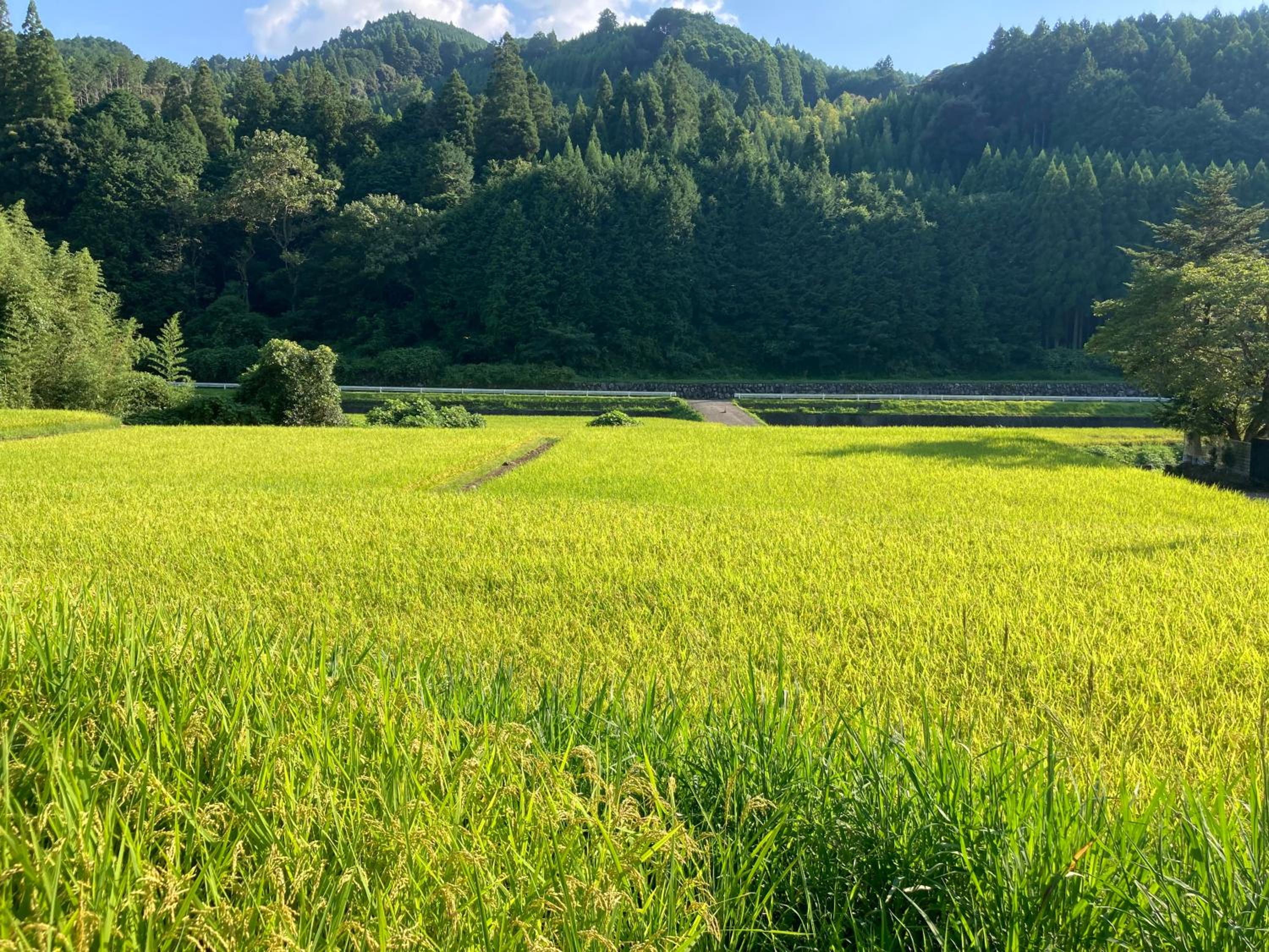 FARMSTAY miyuki-street "Hotaru" view 4