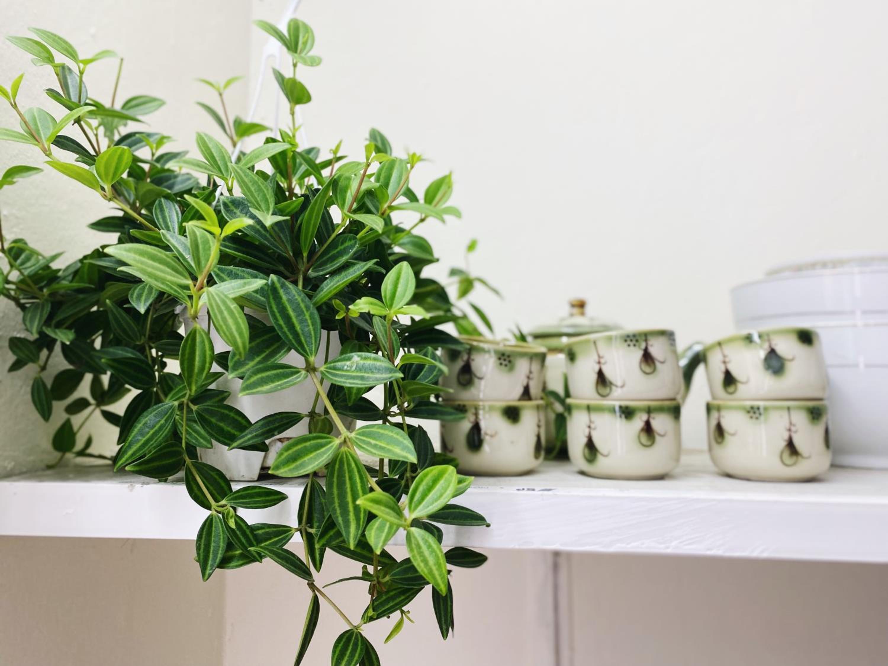 Niah Cozy Home - Hang Da Market