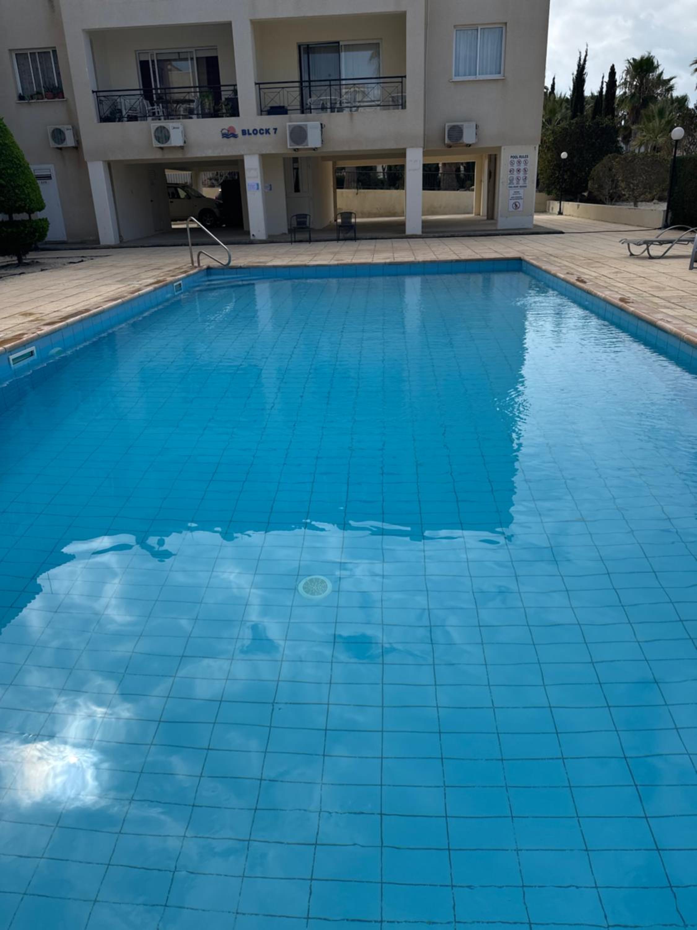 Arting Sea-A Dog friendly house