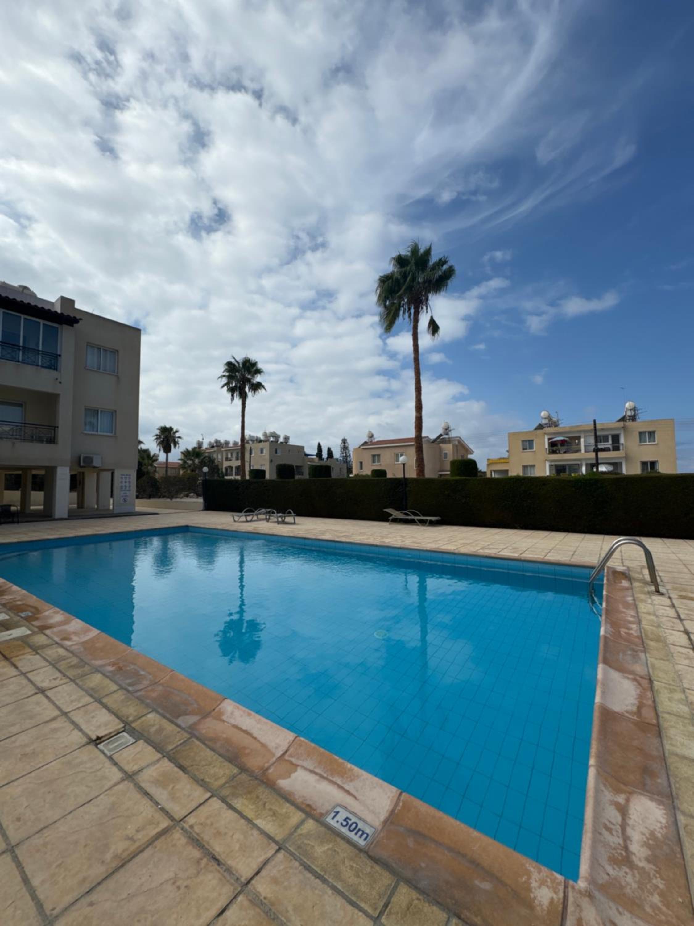 Arting Sea-A Dog friendly house