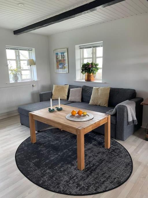 Æblehuset- landhus med fred&ro lige ved gadekæret view 4