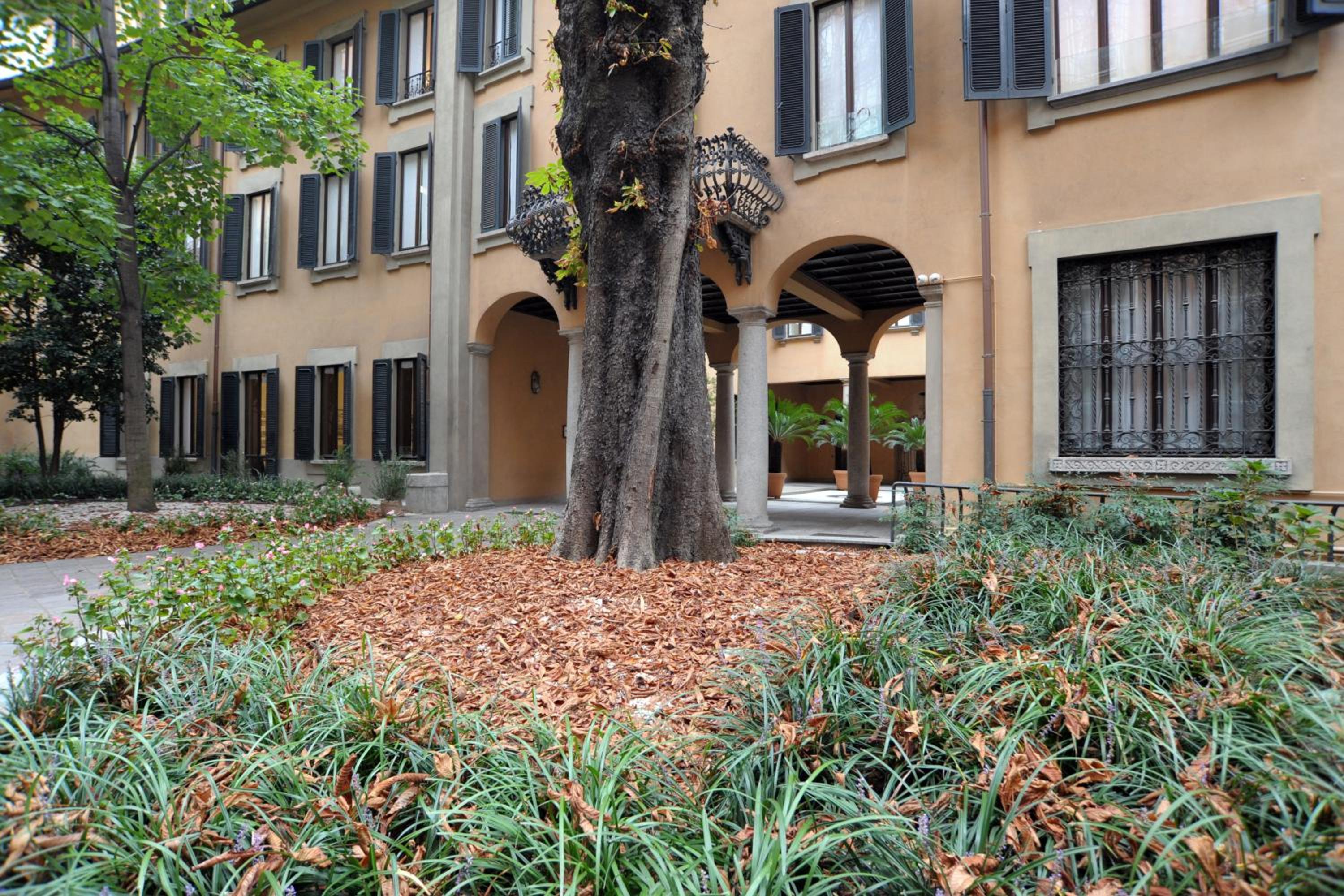 Lanzone Apartment