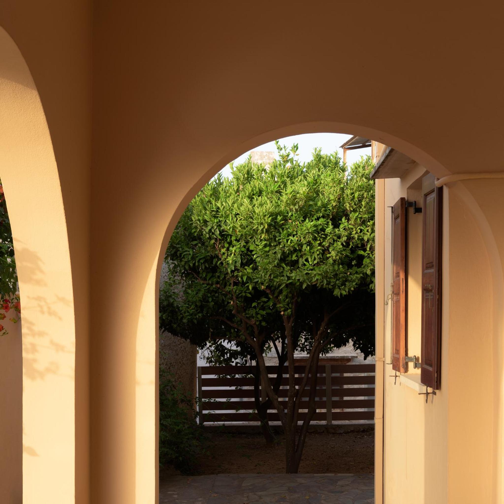 Photo 46