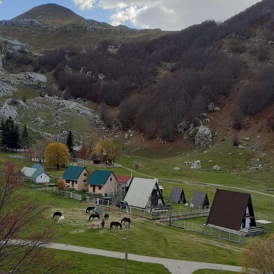Katun Mokra accommodation & horseback riding view 2