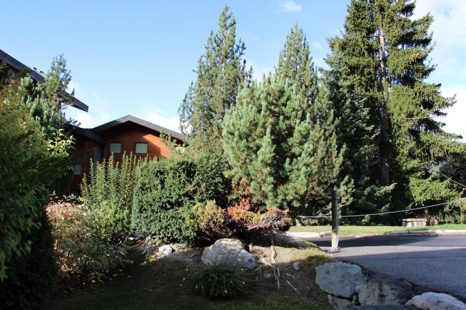 Four Seasons 1 - 1 bedroom apartment