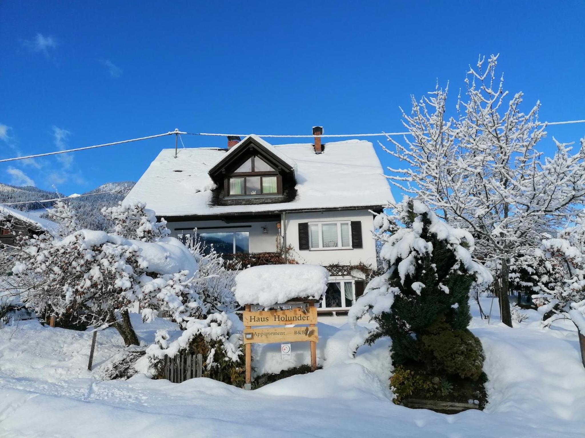 Haus Holunder Weissbriach view 2