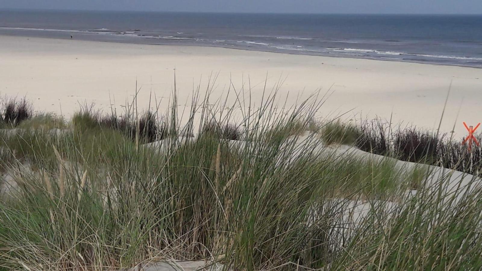 Kiek mol wedder in