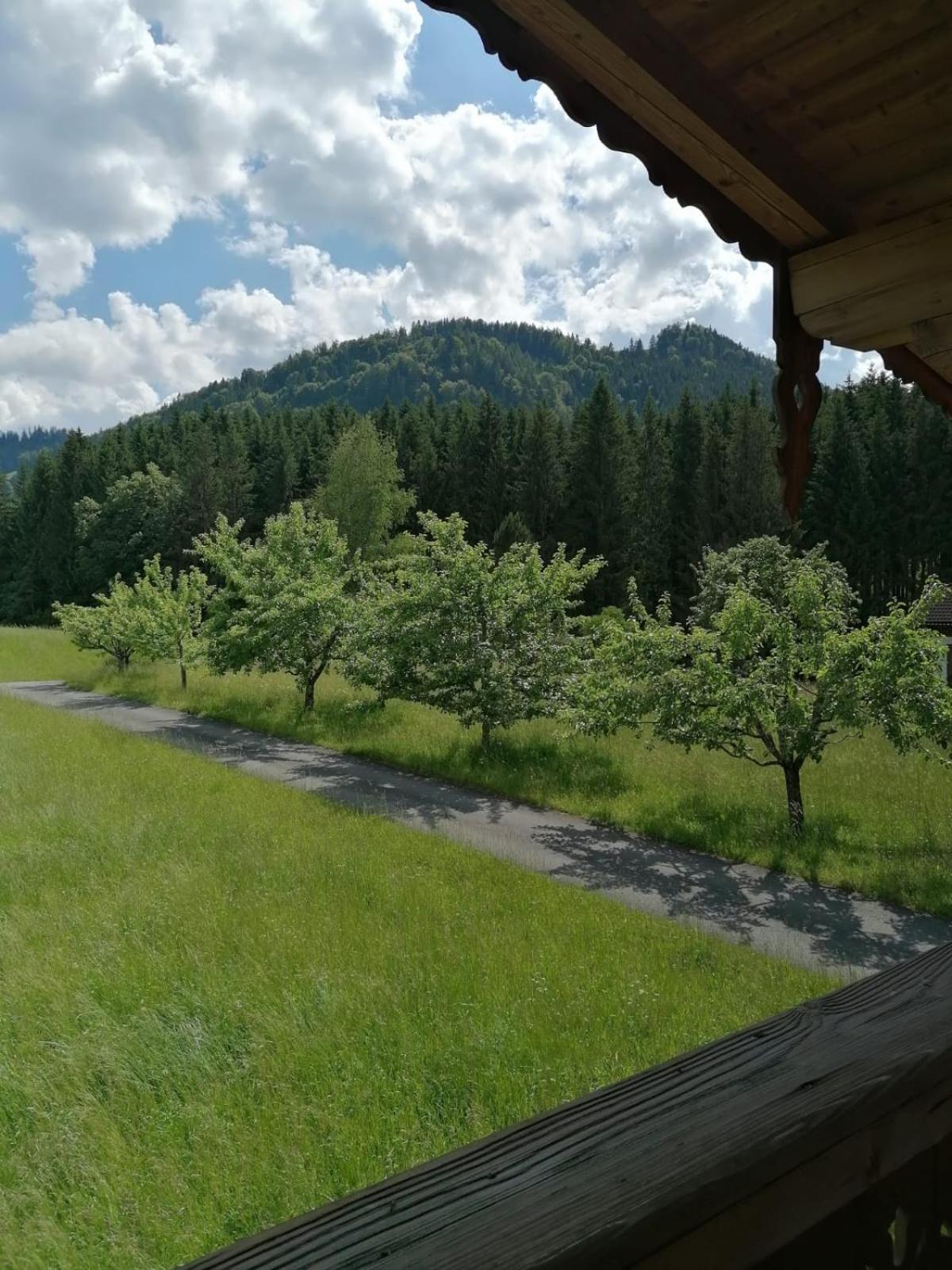 Ferienwohnung Bergblick